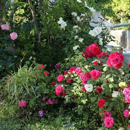 Apartments By The Sea Orebic, Peljesac - 4509 Apartment Orebić