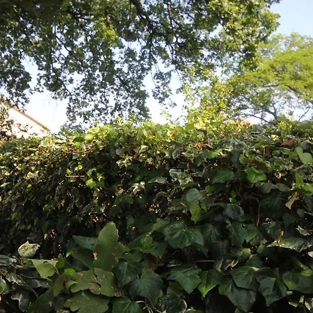 Apartments By The Sea Orebic, Peljesac - 4509 Apartment *