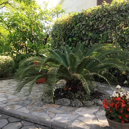 Apartments By The Sea Orebic, Peljesac - 4509 Apartment