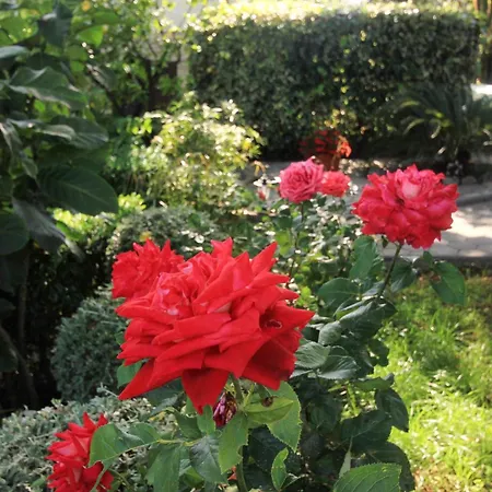 By The Sea Orebic, Peljesac - 4509 Διαμέρισμα