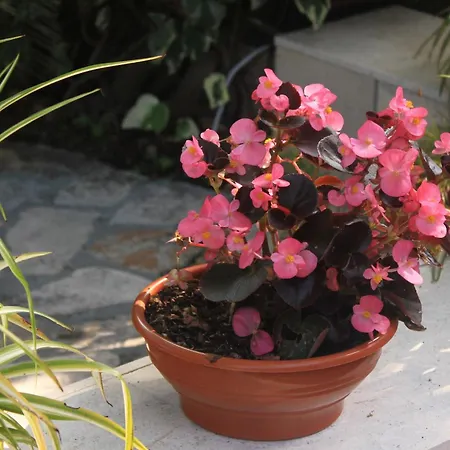 By The Sea Orebic, Peljesac - 4509 Orebić