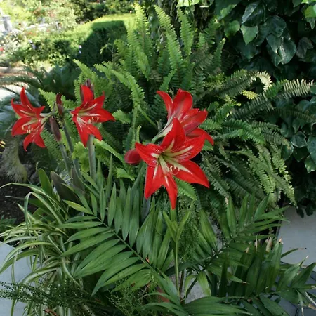 Apartments By The Sea Orebic, Peljesac - 4509 Orebić