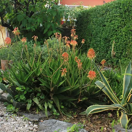 By The Sea Orebic, Peljesac - 4509 *