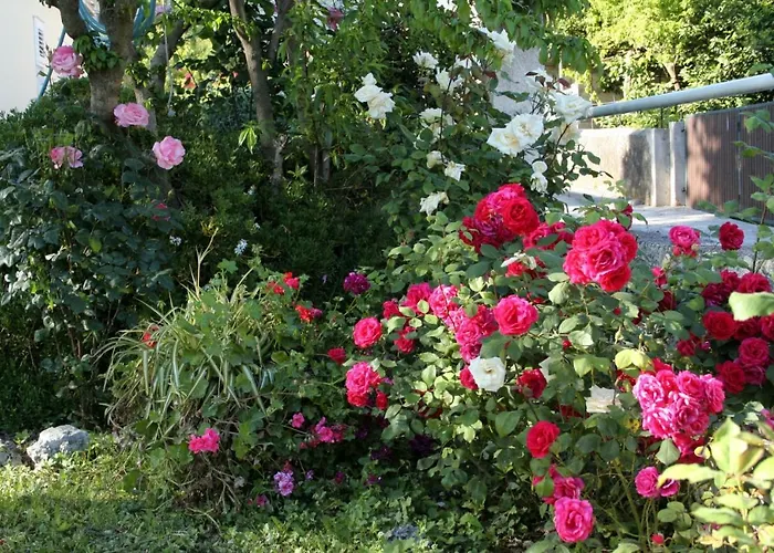 By The Sea Orebic, Peljesac - 4509 דירה אורביץ