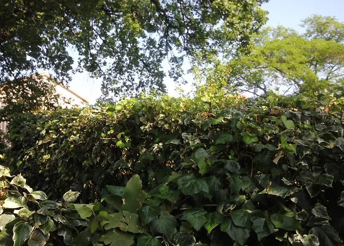 By The Sea Orebic, Peljesac - 4509 דירה *