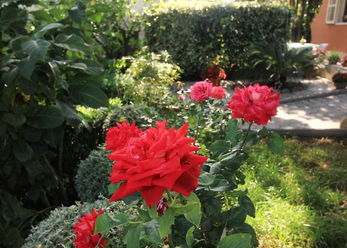 By The Sea Orebic, Peljesac - 4509 דירה