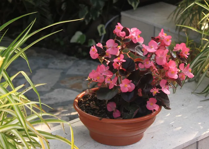 By The Sea Orebic, Peljesac - 4509 אורביץ