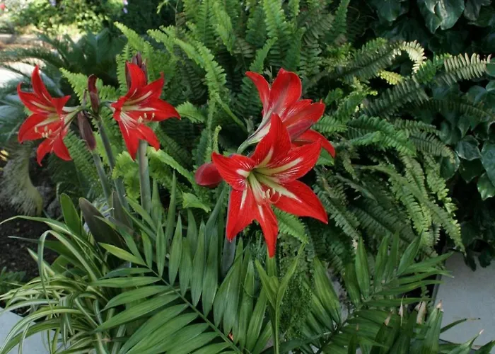 By The Sea Orebic, Peljesac - 4509 אורביץ