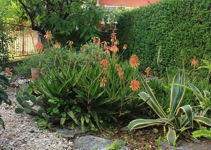 By The Sea Orebic, Peljesac - 4509 *